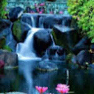 Meet your Posher, Audrey